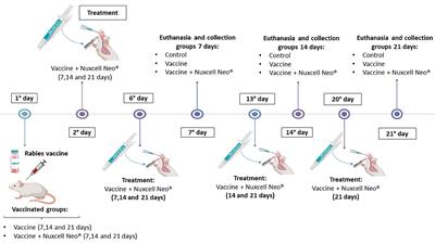 Nuxcell Neo® improves vaccine efficacy in antibody response